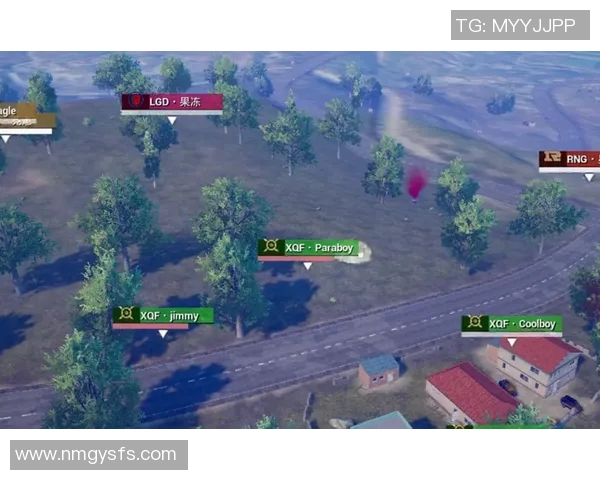 深度解析RNG在和平精英赛事中的整体压制策略与战术布局